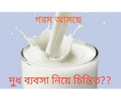 দুধের চিলার