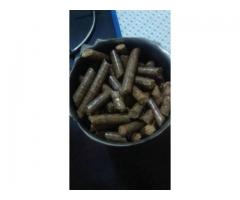 বিকল্প জ্বালানি Pellet