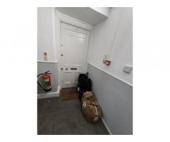Best Home to Rent Out